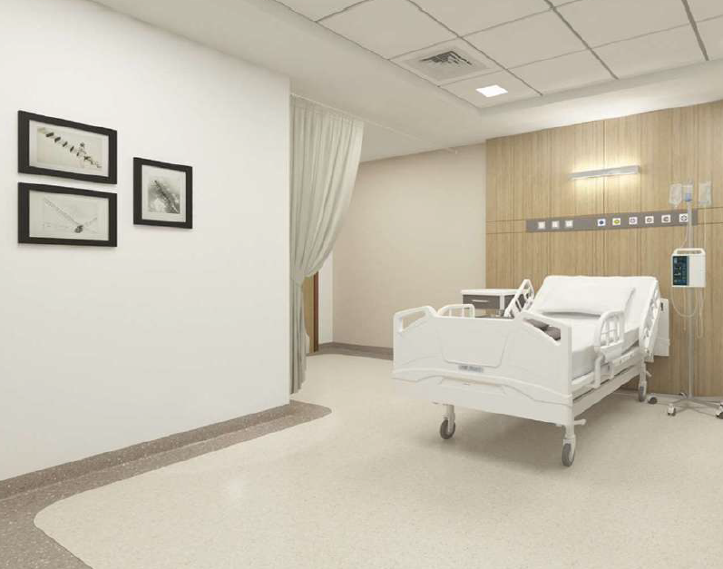 Natural History Museum Abu Dhabi